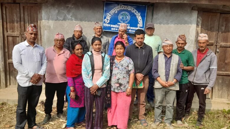 डढेलोको क्षतीबाट बच्न यस्तो प्रयास