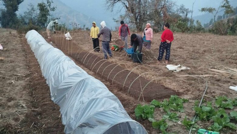 सामुहिक खेतीमा माओवादी केन्द्रको वडा कमिटि