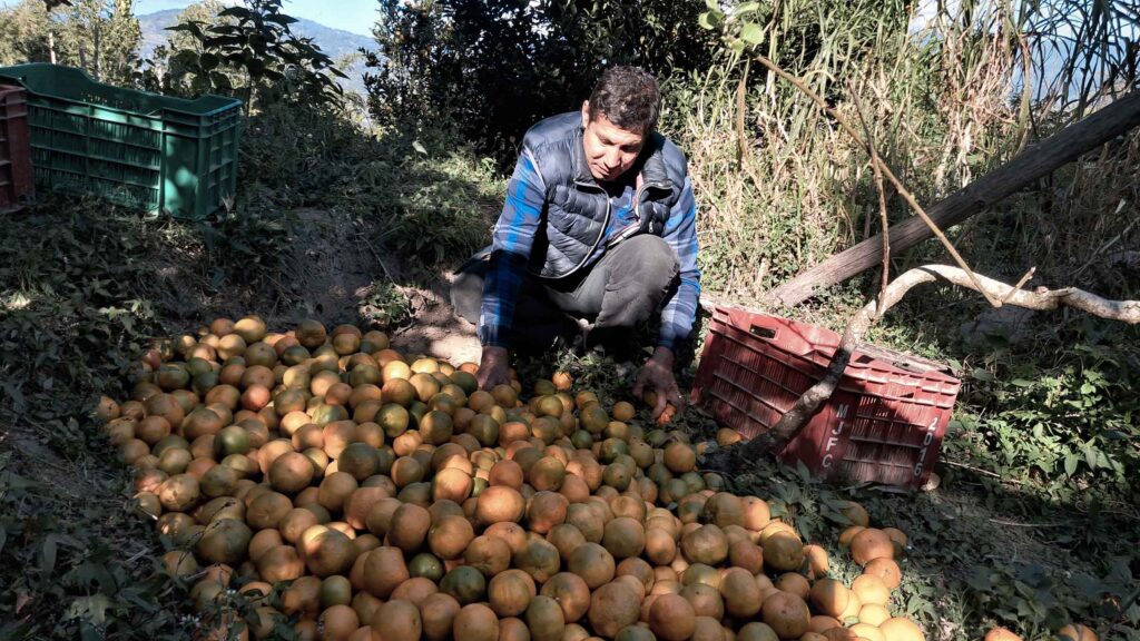 सुन्तलाको ‘मायाँ’ले बसायो गाउँ